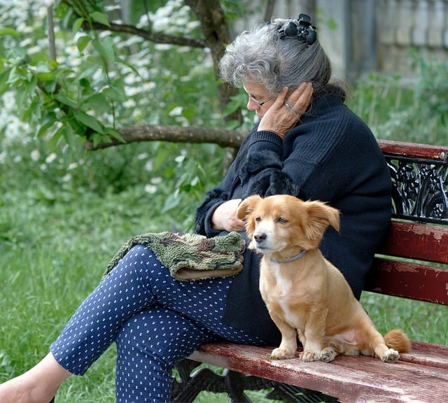 pet-sitting-640x480-78879778.jpeg