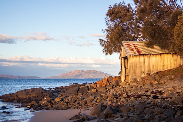 sheds, shed maufacturer