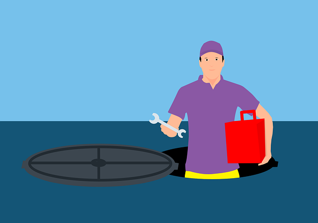specific plumbing components, plumbers