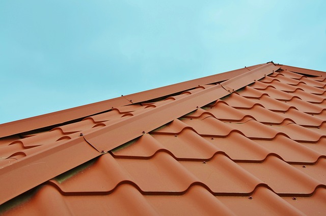 Steeline colorbond roofing