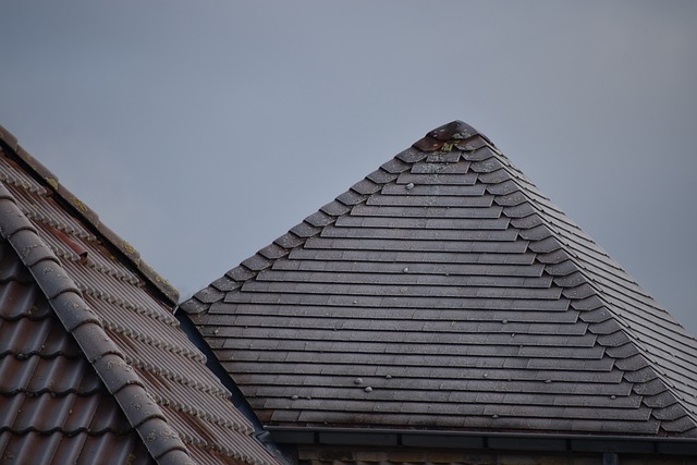 steeline-colorbond-roofing-640x480-79397820.jpeg