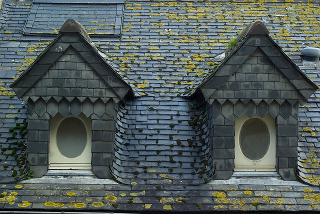 Steeline colorbond roofing