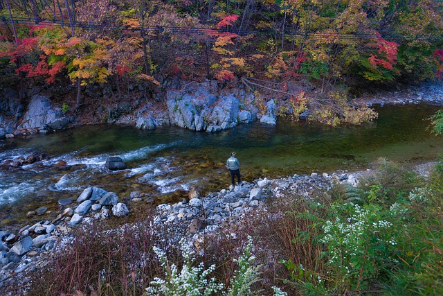 Trout, river fishing for trout