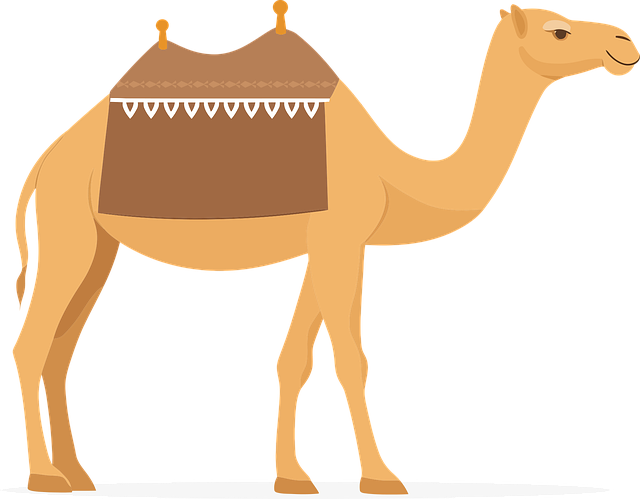 caravan accessories, Australian caravans,  caravan