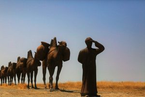 caravan-accessories-australian-caravans-640x480-59750252.jpeg