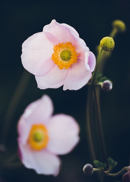 caring, grief, support 