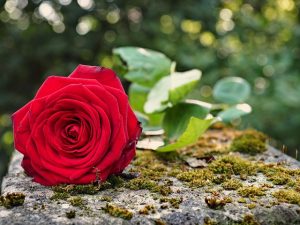 caring-grief-support-640x480-34914143.jpeg