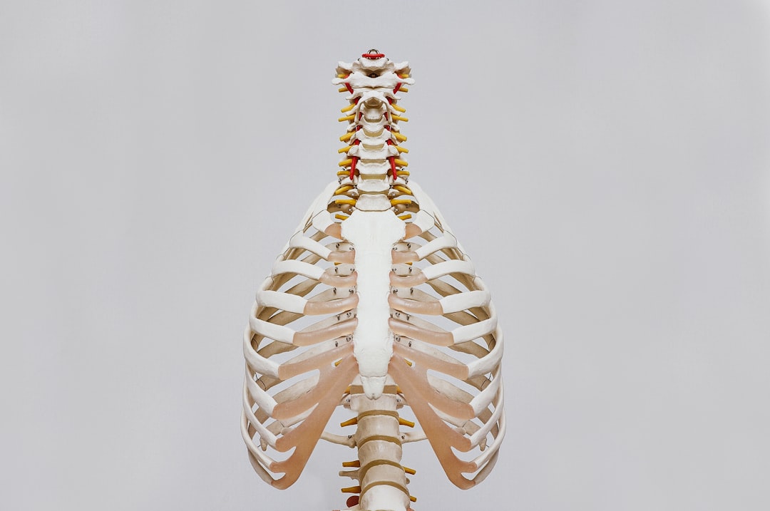 chiropractor, 