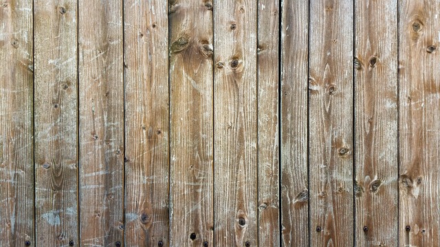 colorbond fencing,  Backyard colorbond fences