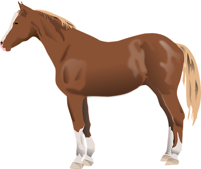horse, horse lead rope