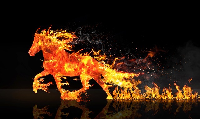horse-horse-lead-rope-640x480-81634585.jpeg