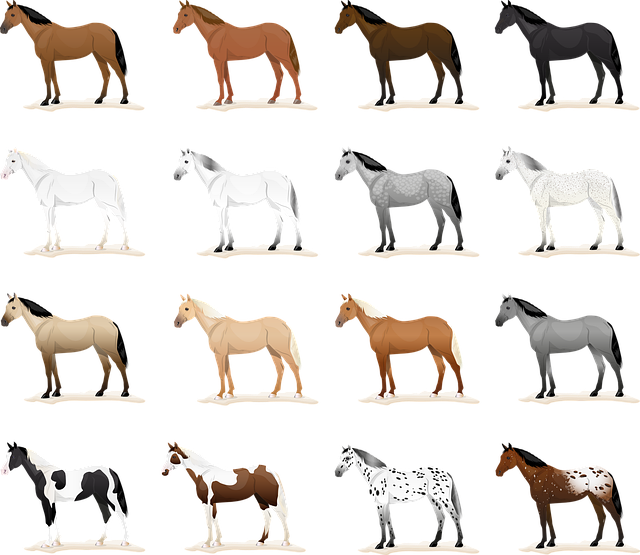 horse, horse lead rope