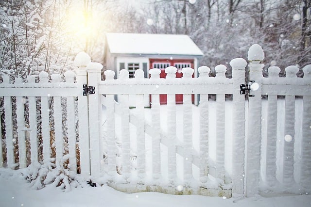 sheds-shed-maufacturer-640x480-85649598.jpeg