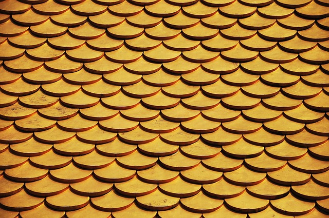 Steeline colorbond roofing