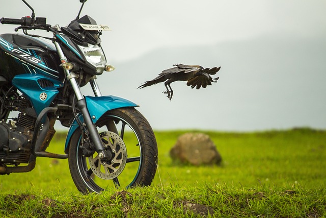 Yamaha Motorbikes