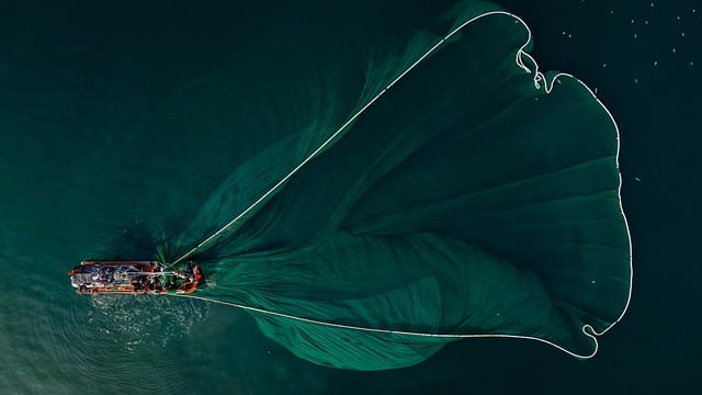 Boat rope