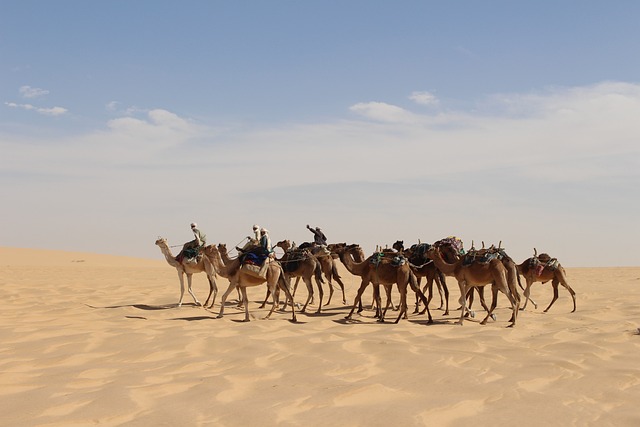 caravan accessories, Australian caravans,  caravan