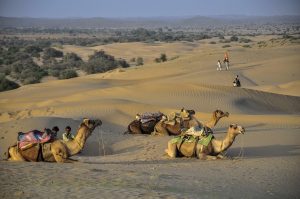 caravan-best-caravan-travel-locations-in-640x480-16060300.jpeg