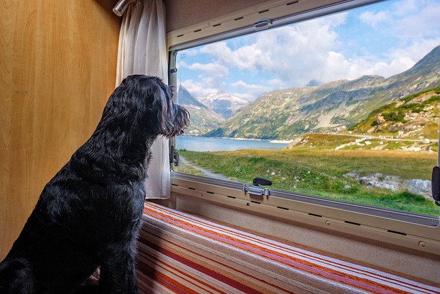 Caravan, Best Caravan, Travel locations in Australia