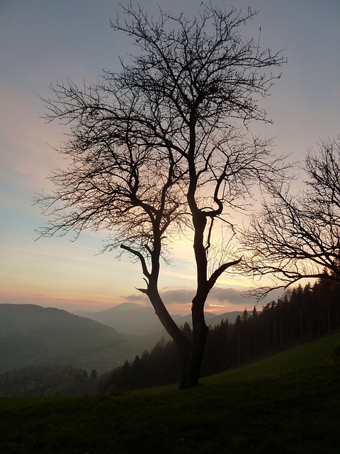 caring-grief-support-640x480-49927507.jpeg