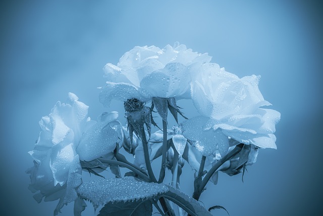 caring-grief-support-640x480-55181007.jpeg