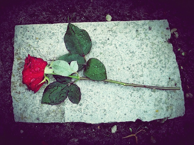 caring-grief-support-640x480-86115684.jpeg