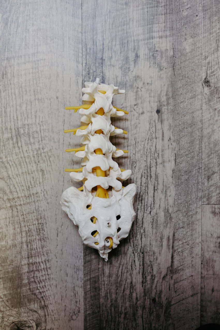 chiropractor-640x480-58936939.jpeg
