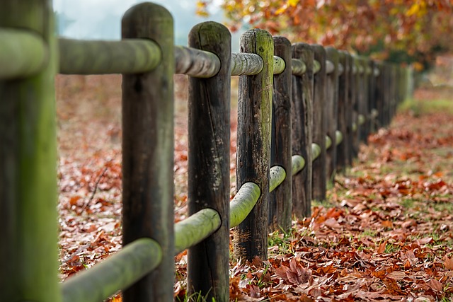 colorbond-fencing-backyard-colorbond-fe-640x480-13705626.jpeg