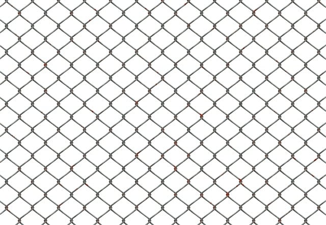 colorbond fencing,  Backyard colorbond fences