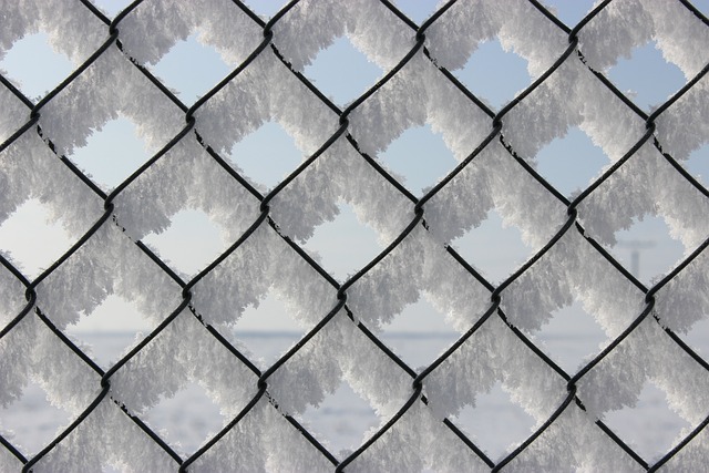 colorbond-fencing-backyard-colorbond-fe-640x480-45468386.jpeg