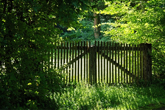 colorbond fencing,  Backyard colorbond fences