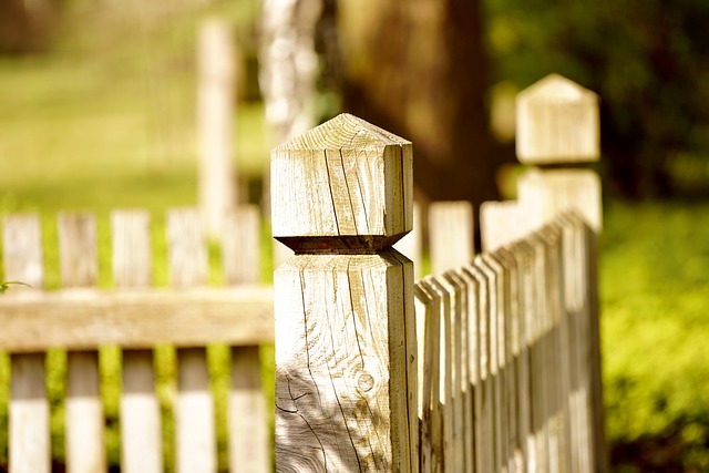 colorbond fencing,  Backyard colorbond fences