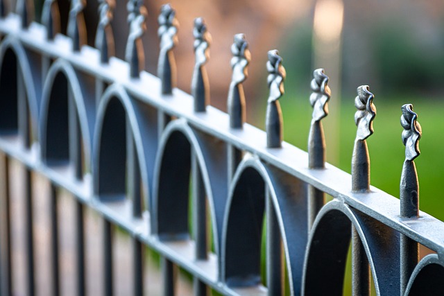 colorbond fencing,  Backyard colorbond fences