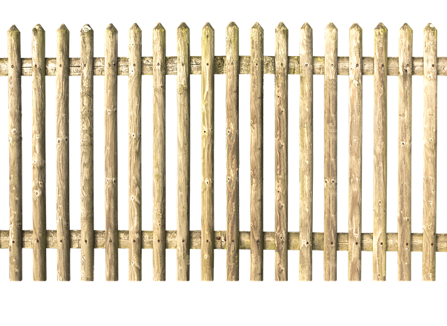 colorbond-fencing-backyard-colorbond-fe-640x480-85928905.png