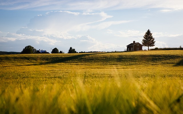 Farm Shed, 
