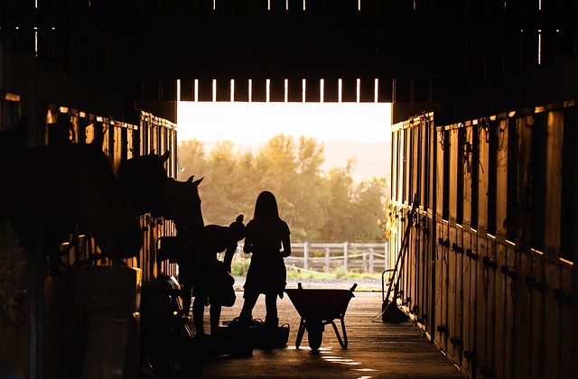 farm-shed-640x480-52911147.jpeg