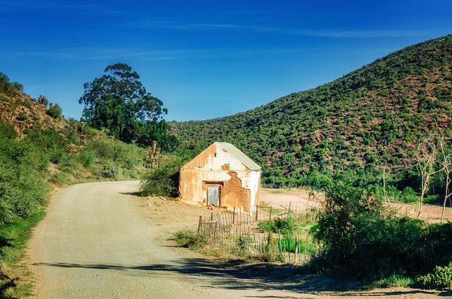 Farm Shed, 