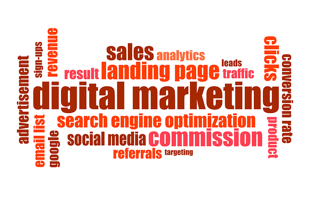 Franchise Marketing Infographic, Franchise Growth Strategy. Visual Franchise Branding Tips Graphic