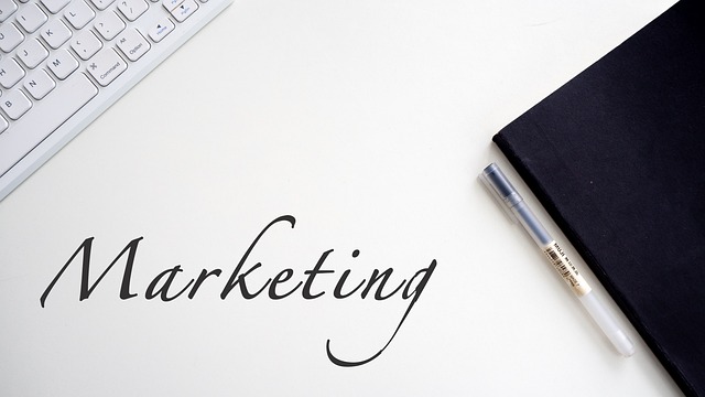 Franchise Marketing Infographic, Franchise Growth Strategy. Visual Franchise Branding Tips Graphic