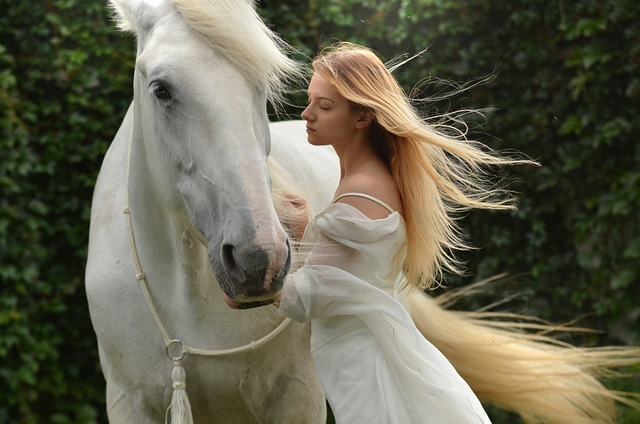 horse-horse-lead-rope-640x480-23091783.jpeg