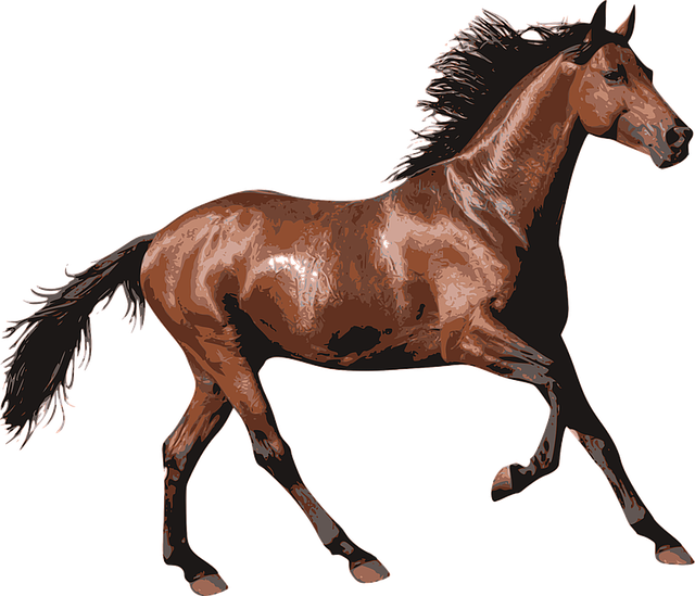 horse-horse-lead-rope-horses-640x480-46600306.png