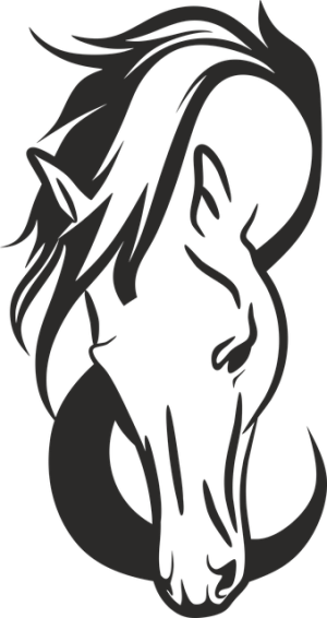 horse-horse-lead-rope-horses-640x480-47530185.png