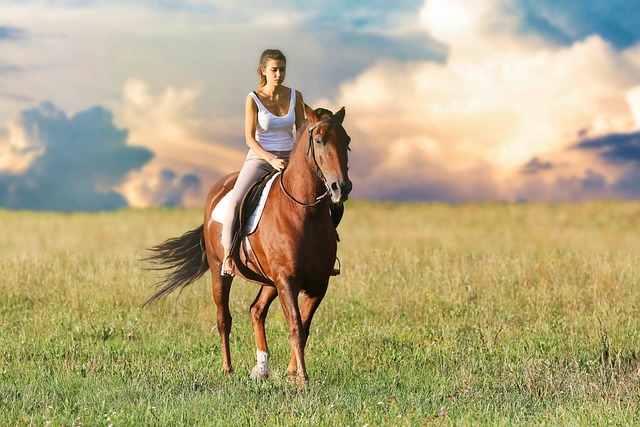 horse-horse-lead-rope-horses-640x480-57761686.jpeg