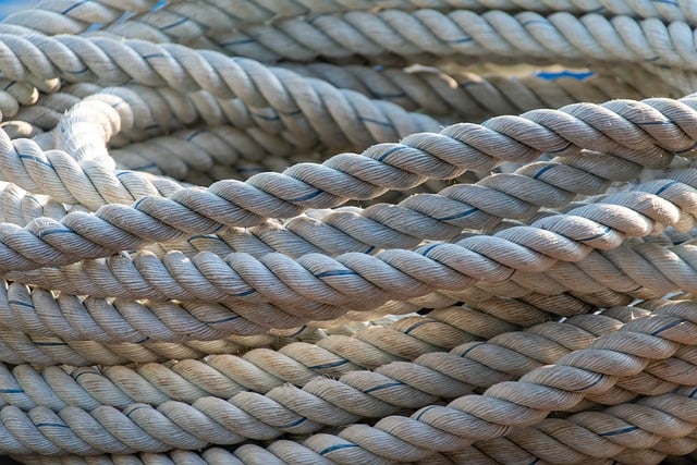 horse-horse-rope-640x480-92619998.jpeg