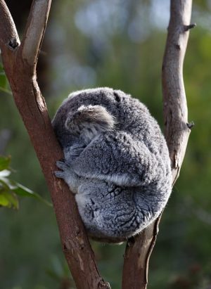 Selling Your Shepparton Home: A Comprehensive Guide with Tips