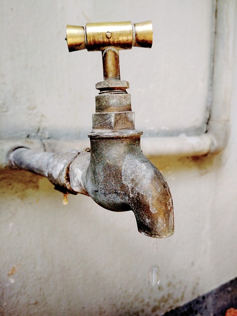 Plumbing supplies, plumbers, 