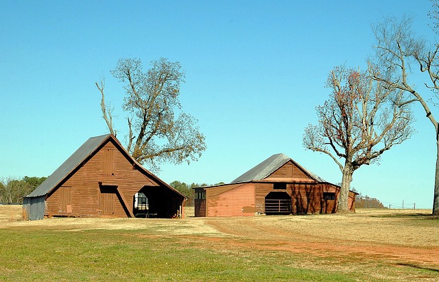 sheds, shed maufacturer