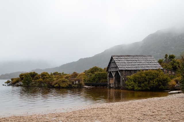sheds, shed maufacturer
