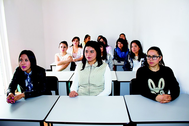 students, educators, courses