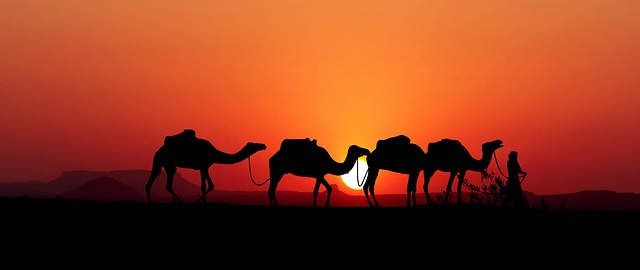 Australia made,  Caravan manufacturing, caravan travelling on the road